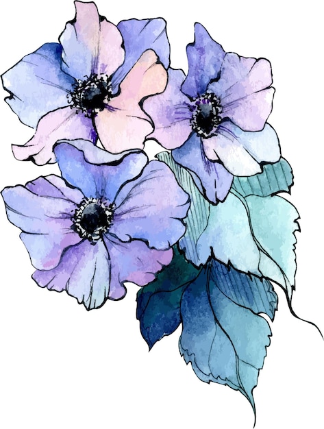 Watercolor and ink hand drawn anemone flowers and leaves
