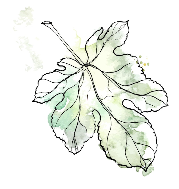 Watercolor and ink handdrawn autumn leaf