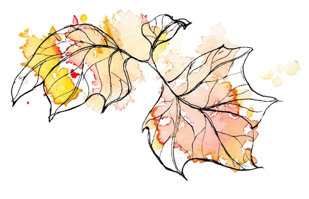 Watercolor and ink handdrawn autumn leaf