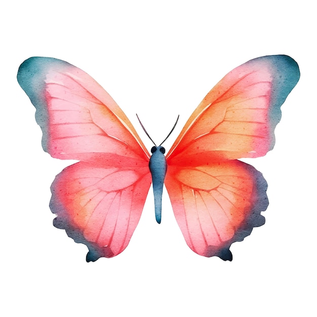 Watercolor insect butterfly clip art with multiple colors