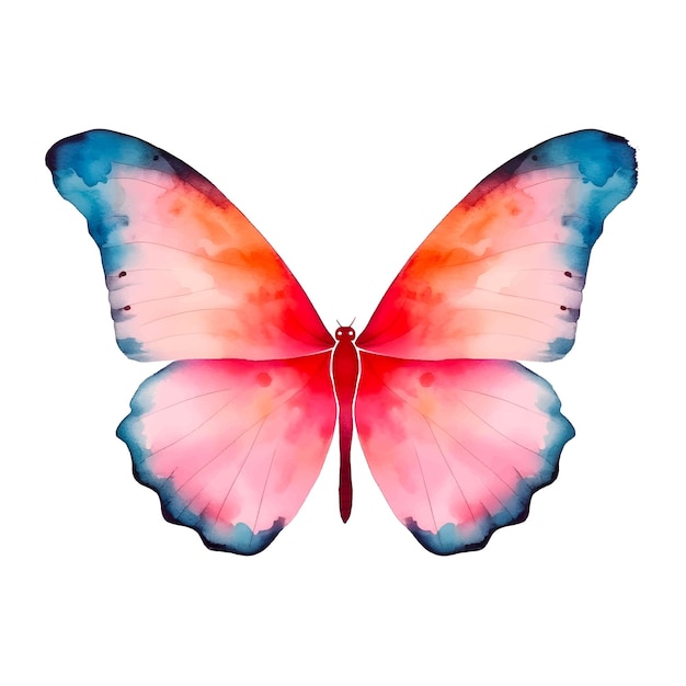 Watercolor insect butterfly clip art with multiple colors