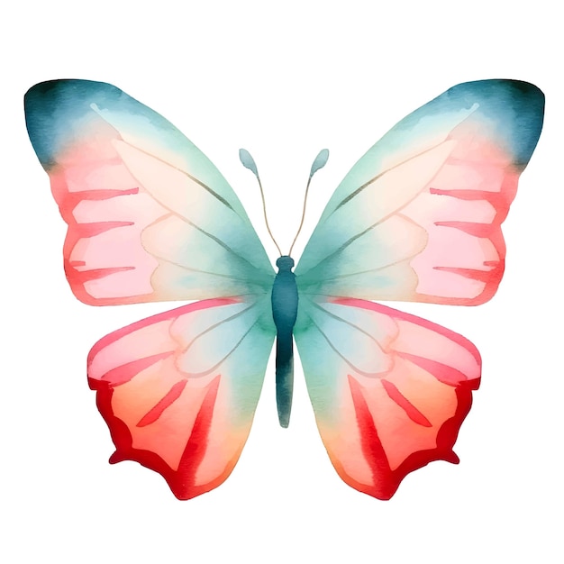 Watercolor insect butterfly clip art with multiple colors