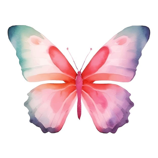 Watercolor insect butterfly clip art with multiple colors