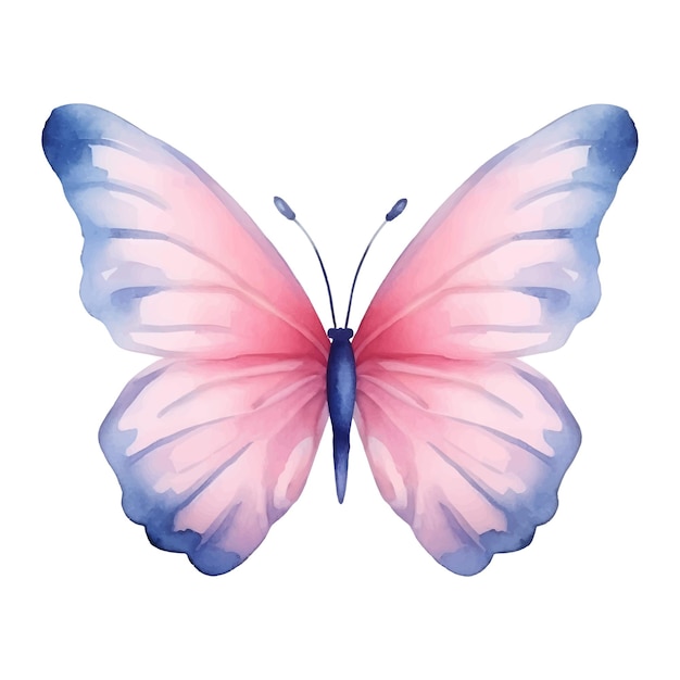 Watercolor insect butterfly clip art with multiple colors