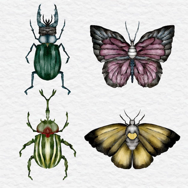 Watercolor insect collection clip art illustration