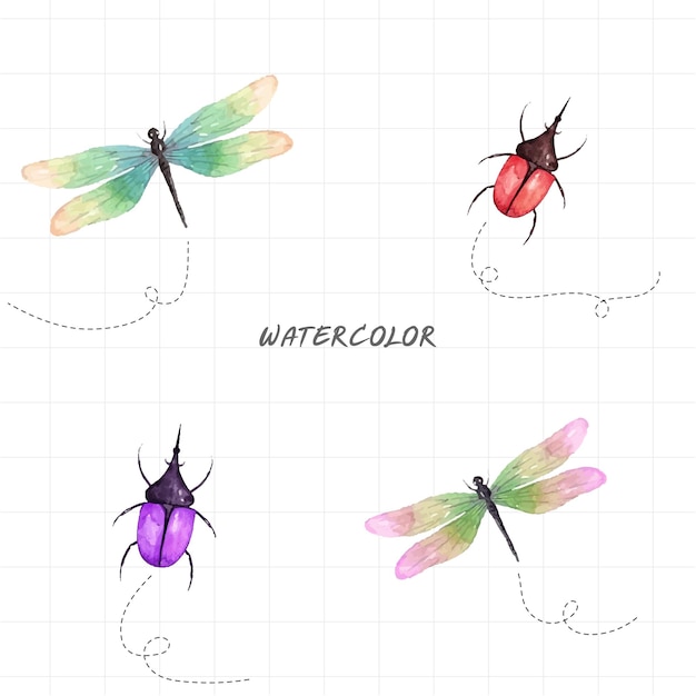벡터 흰색 바탕에 수채화 곤충