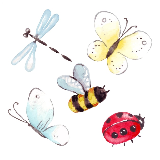 Watercolor insects vector