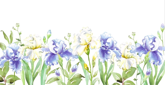 Watercolor irises border