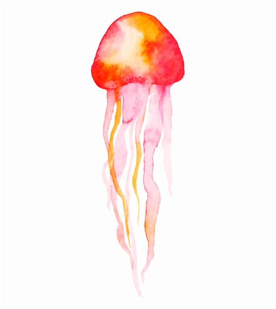 Watercolor jellyfish vector in abstract style on white background Exotic print