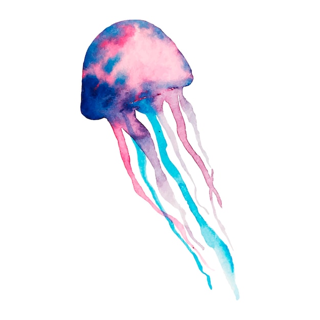 Watercolor jellyfish vector in abstract style on white background Exotic print