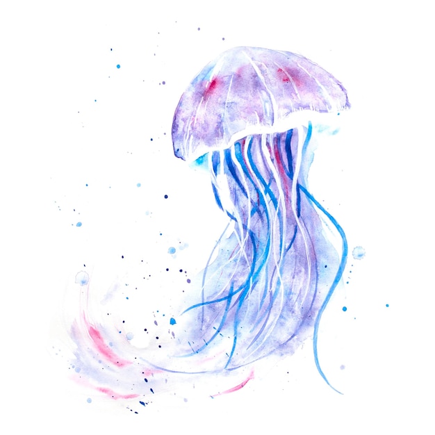 Watercolor jellyfish