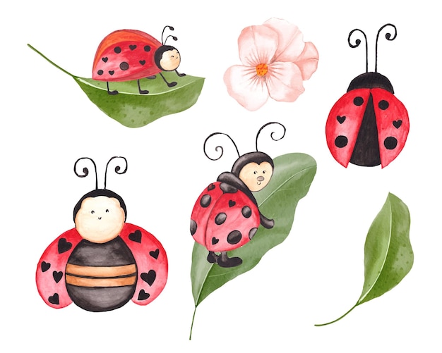 Vector watercolor ladybug clipart set with leaves, cute ladybug illustration