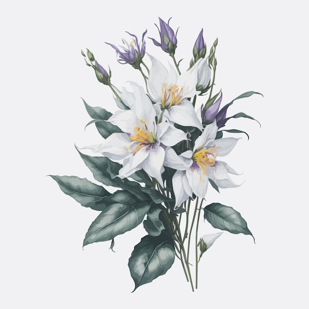 Watercolor Laelia Clipart Floral Vector