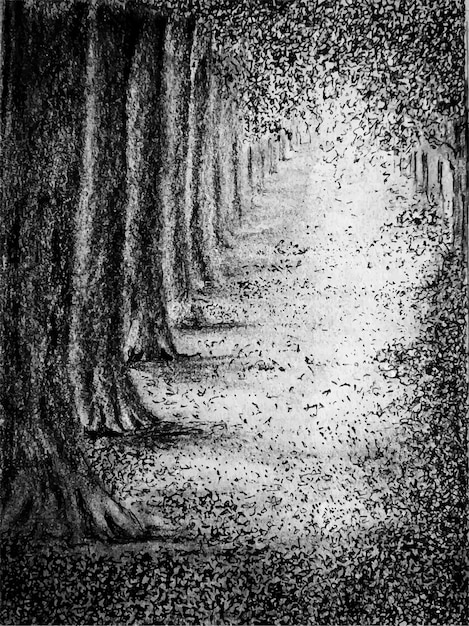 Вектор Акварель пейзаж абстрактная природа лесной фон