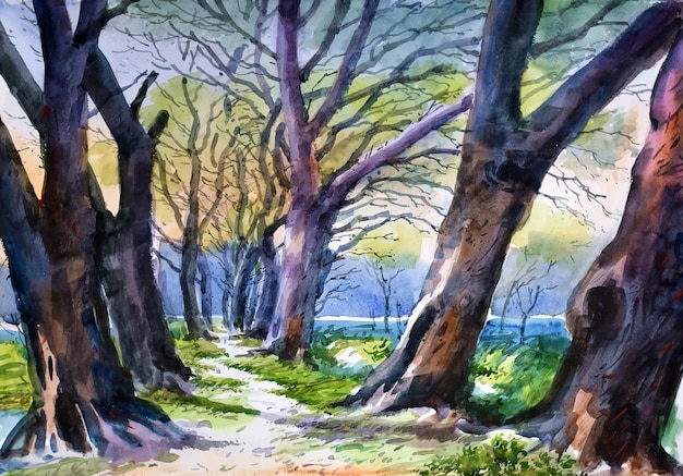 Watercolor landscape hand drawn painting trees illustration