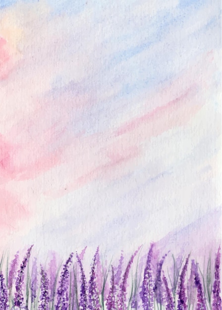 Watercolor lavender field as background