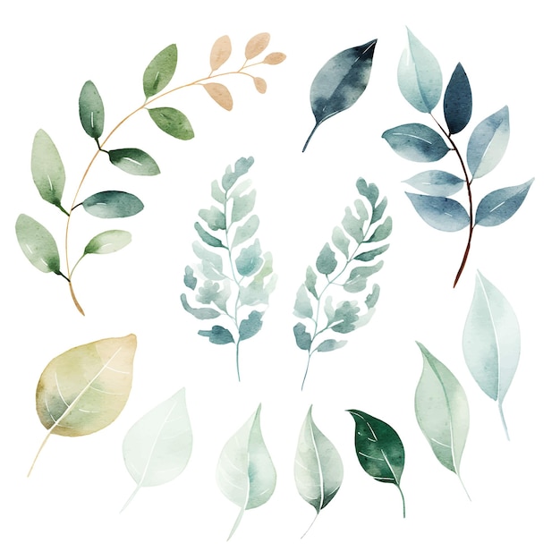 Vector watercolor leaves botanical illustrations set