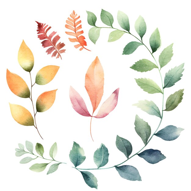 Vector watercolor leaves botanical illustrations set