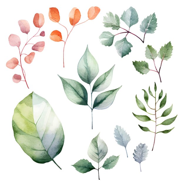 Watercolor leaves botanical illustrations set