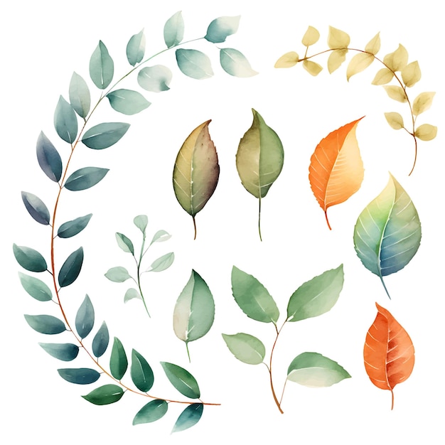 watercolor leaves botanical illustrations set