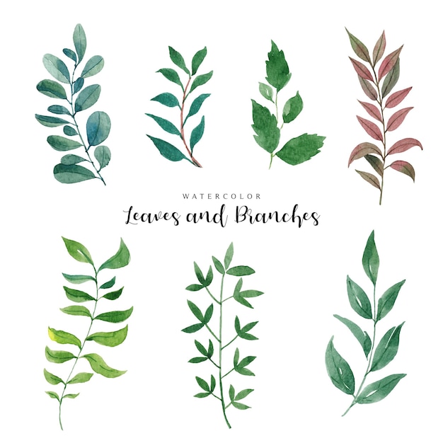 Watercolor leaves and branches collection