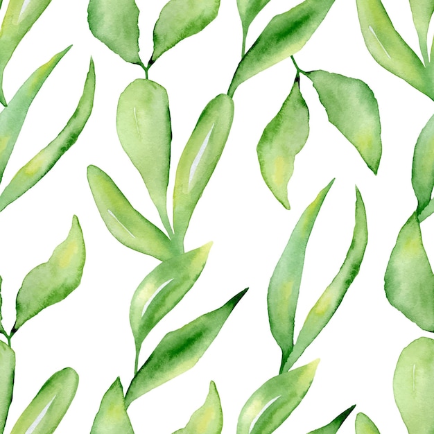 Watercolor leaves and branches hand drawn seamless pattern background