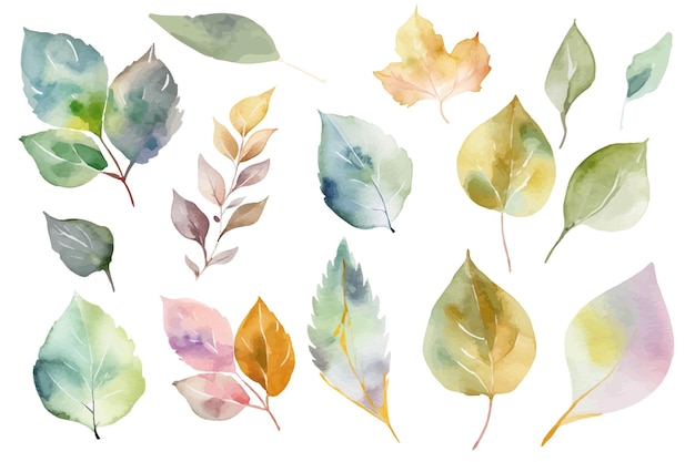 watercolor leaves clipart collection