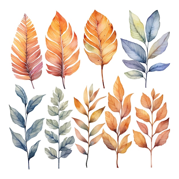 Watercolor leaves clipart white background