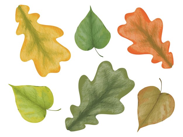 Watercolor leaves collection. Autumn watercolor leaves and isolated on white background.