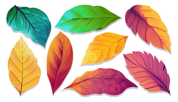 Watercolor leaves collection with bright vibrant color vector element design