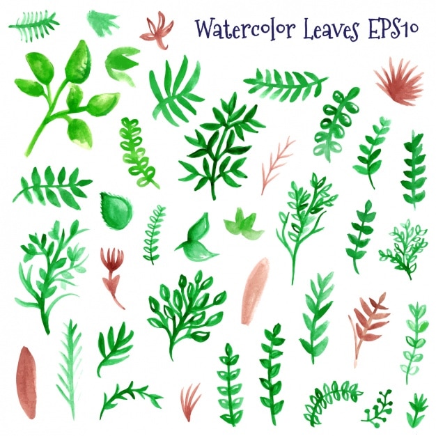 Vector watercolor leaves collection