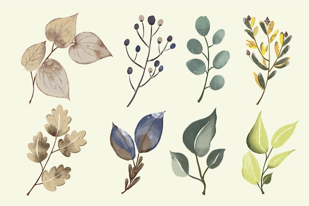 Watercolor leaves element set