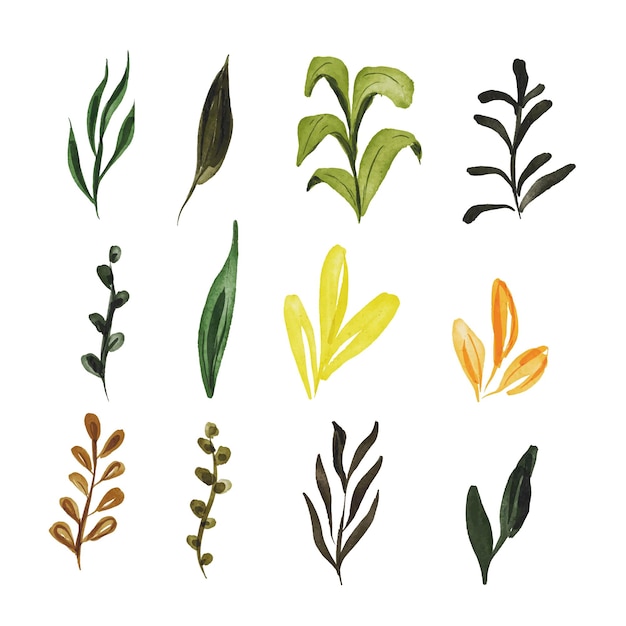 Watercolor Leaves Elements