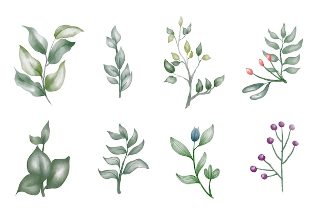 Vector watercolor leaves and flowers