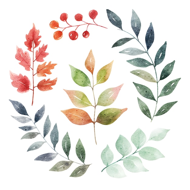 Insieme di elementi dell'illustrazione delle foglie dell'acquerello