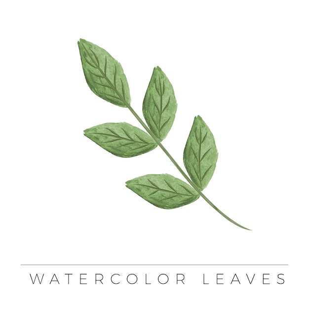 Watercolor leaves ornamental element