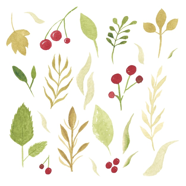 Vector watercolor leaves set