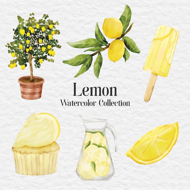 watercolor lemon clip art illustration