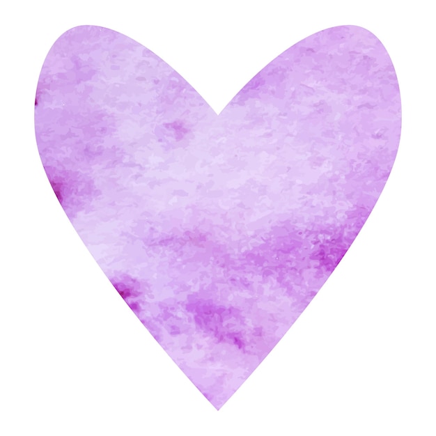 Watercolor lilac heart isolated vector