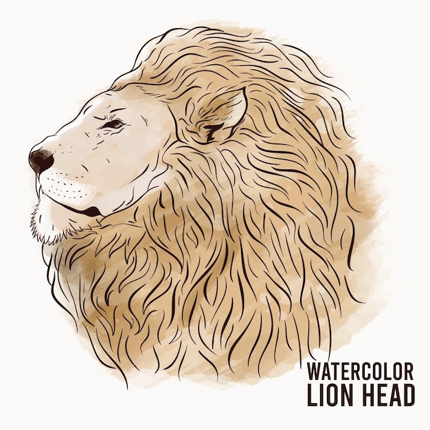 Vettore testa di leone ad acquerello con illustrazione a colori caldi