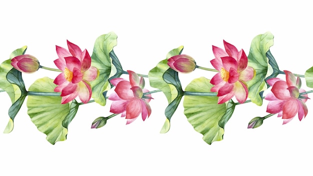 Watercolor lotus seamless border isolated on a white background