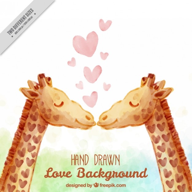 Watercolor lovely giraffes background