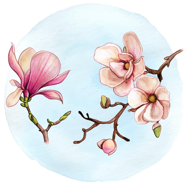 Watercolor magnolia branches pink flowers