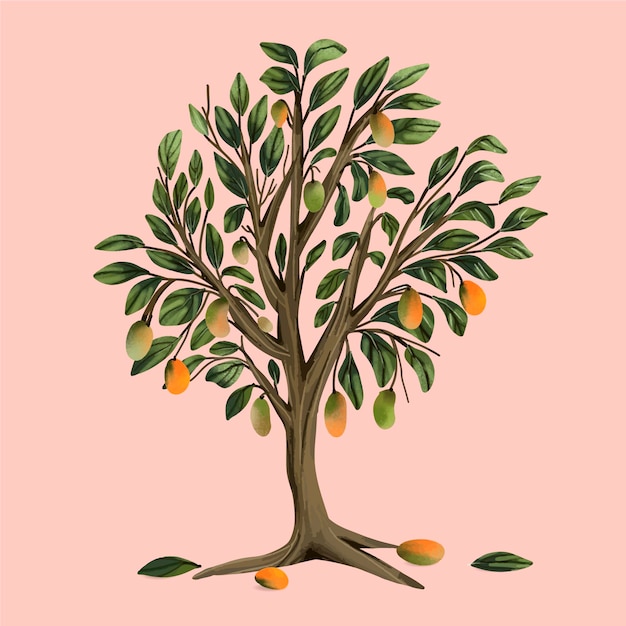 Vector watercolor mango tree illustration