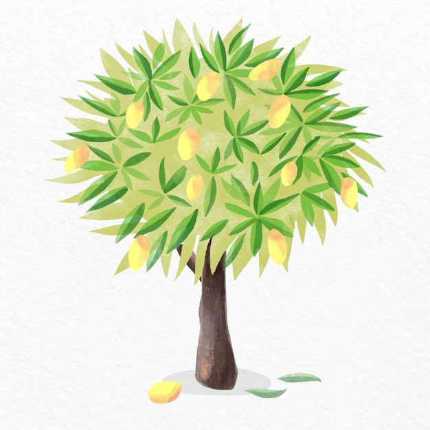 Vector watercolor mango tree illustration