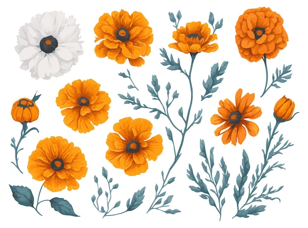 Watercolor marigold Clipart Set Realistic Floral Illustrations