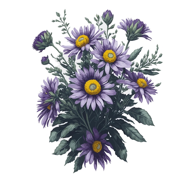 Acquerello michaelmas daisy viola