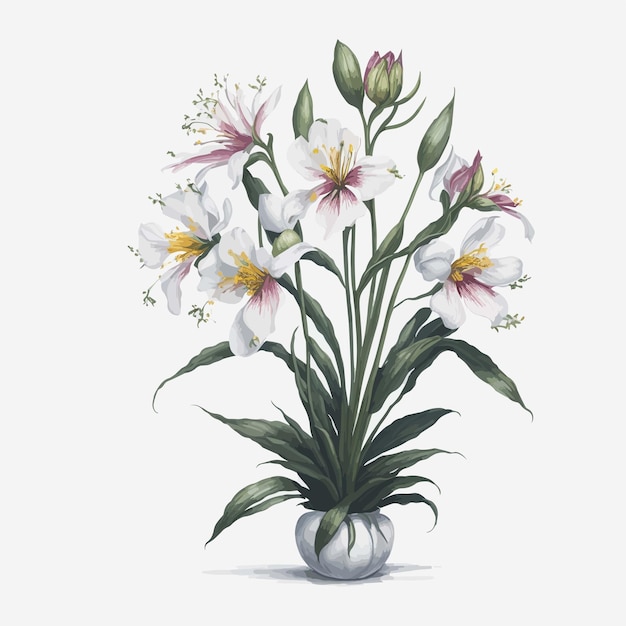 Watercolor miltonia floral a simple vector