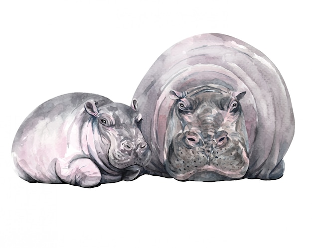 Vector watercolor mom and baby hippopotamus