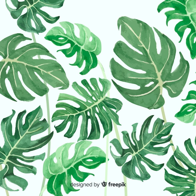 Watercolor monstera leaves background